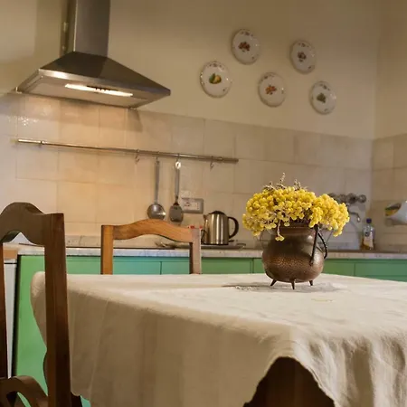 Apartment Benozzo